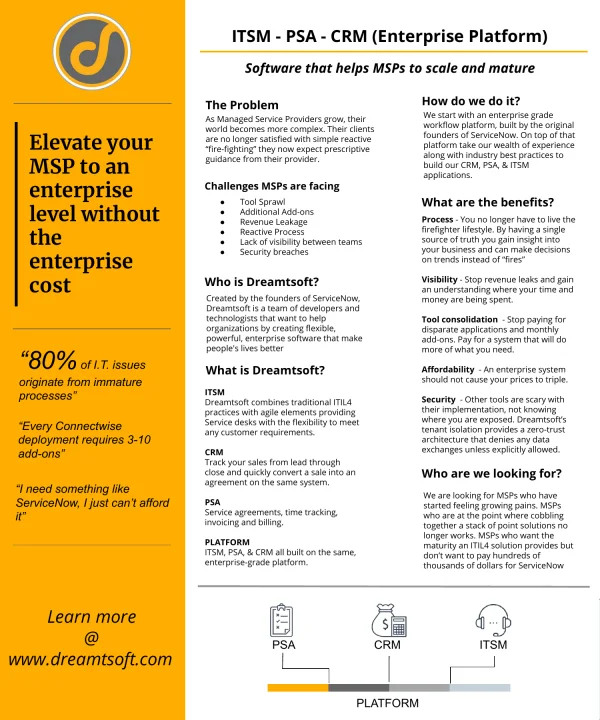 Preview of the preserved Dreamtsoft MSP one-page brief